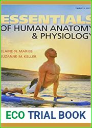 Essentials of Human Anatomy and Physiology by Suzanne M. Keller, Elaine Nicpon Marieb