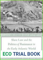 Slave Law and the Politics of Resistance in the Early Atlantic World