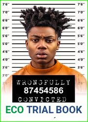 Wrongfully Convicted