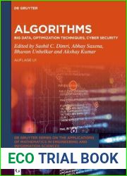 Algorithms: Big Data, Optimization Techniques, Cyber Security (De Gruyter Series on the Applications of Mathematics in Engineering and Information Sciences, 17)