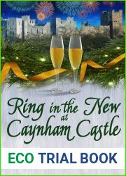 Ring in the New at Caynham Castle