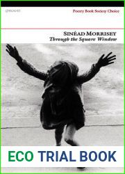 Through the Square Window (Poetry Book Society Recommendation)