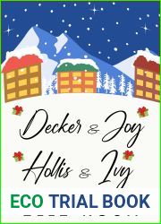 North Pole Unlimited Collection 1: Two sweet Christmas romances