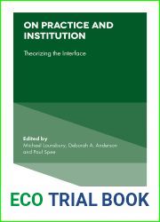 On Practice and Institution: Theorizing the Interface (Research in the Sociology of Organizations Book 70)