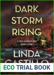 Dark Storm Rising (Kate Burkholder, #15.5)
