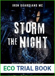 Storm the Night: Iron Guardians MC Romance