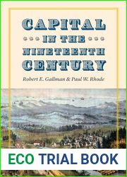 Capital in the Nineteenth Century (National Bureau of Economic Research Series on Long-Term Factors in Economic Development)