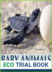 Baby Animals of the Seashore (Nature|s Baby Animals)