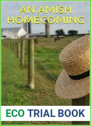 An Amish Homecoming