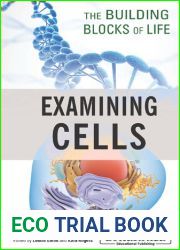 Examining Cells