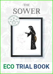 The Sower: Book Two of the Chimera Chronicles