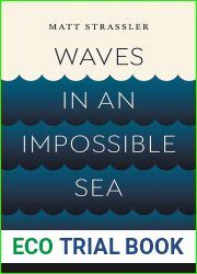 Waves in an Impossible Sea: How Everyday Life Emerges from the Cosmic Ocean