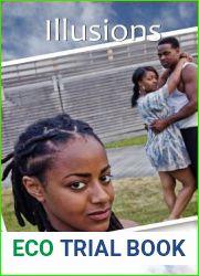 Illusions (K Denice Series)