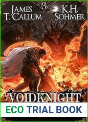 Voidknight Ascension 3: A LitRPG Adventure