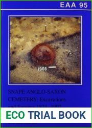 Snape Anglo-Saxon Cemetery: Excavations and Surveys 1824-1992 (East Anglian Archaeology) by William Filmer-Sankey (2001-12-31)