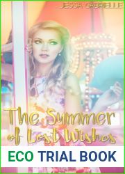 The Summer of Lost Wishes