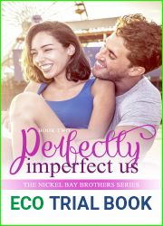 Perfectly Imperfect Us (Nickel Bay Brothers #2)