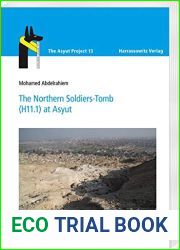 The Northern Soldiers-Tomb (H11.1) at Asyut (The Asyut Project, 13)