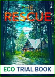 The Rescue (Ava James #7)