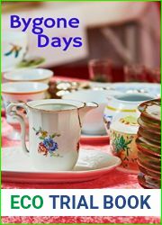 Bygone Days (Cozy Retirement Mystery #2)