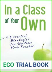 In A Class Of Your Own: Essential Strategies for the new K-6 Teacher