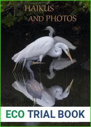 Haikus and Photos: Water Birds and Reflections