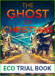 The Ghost of Christmas (Ava James FBI, #6)