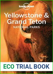 Lonely Planet Yellowstone and Grand Teton National Parks (Travel Guide)