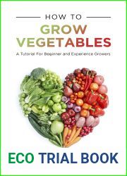 How To Grow Vegetables