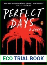Perfect Days: A Novel