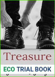 Treasure