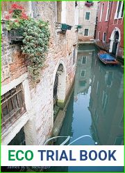 Venice from the Ground Up