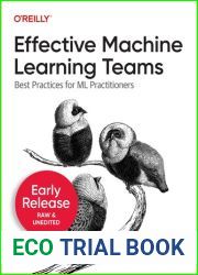 Effective Machine Learning Teams