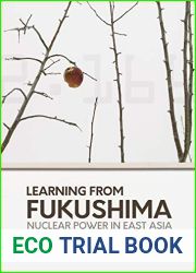 Learning from Fukushima: Nuclear power in East Asia