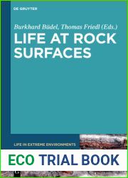 Life at Rock Surfaces: Challenged by Extreme Light, Temperature and Hydration Fluctuations (Life in Extreme Environments, 9)