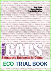 Mind the Gaps: Singapore Business in China