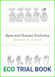 Apes and Human Evolution