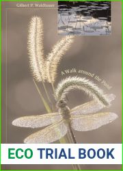 A Walk around the Pond: Insects in and over the Water
