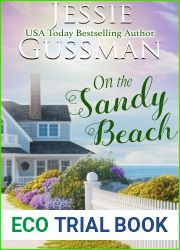 On the Sandy Beach (Raspberry Ridge Sweet Beach Romance Book 1)