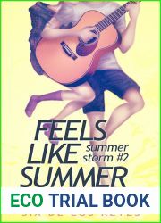 Feels Like Summer (Summer Storm, #2)