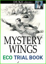 Mystery Wings: A Mystery Story for Boys: A Mystery Story for Boys