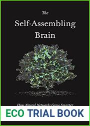 The Self-Assembling Brain: How Neural Networks Grow Smarter