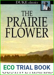 The Prairie Flower A Tale of the Indian Border Gustave Aimard