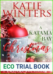 A Katama Bay Christmas (Katama Bay, #6)