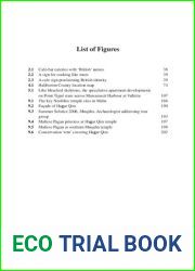 Thinking Through Tourism (Association of Social Anthropologists Monographs)