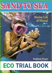 Sand to Sea: Marine Life of Hawaii (A Kolowalu Book)