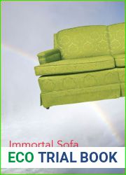 Immortal Sofa (Illinois Poetry Series)