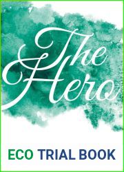 The Hero (Essential Literary Themes)