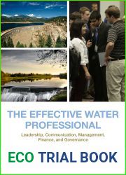 The Effective Water Professional: Leadership, Communication, Management, Finance, and Governance