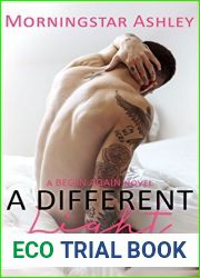 A Different Light (Begin Again, #1)